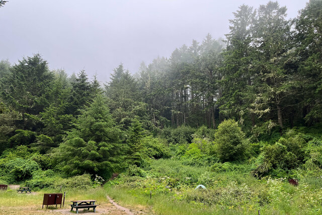 Fog hanging over Glen Campground