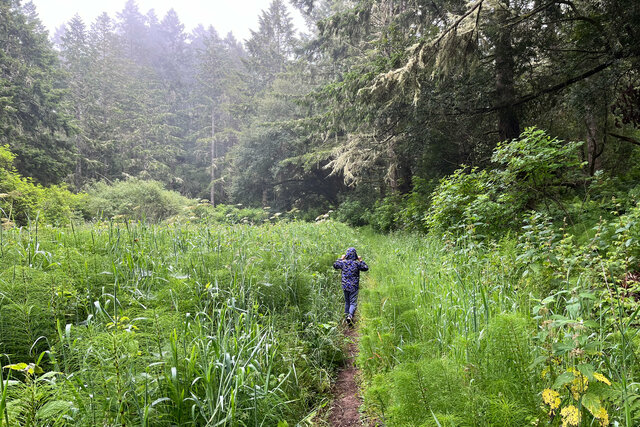 Julian on the trail in the fog