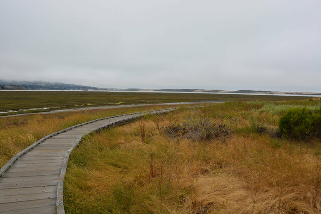 Morro Bay State Park Boardwalk