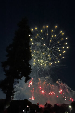 Fireworks in Discovery Meadow