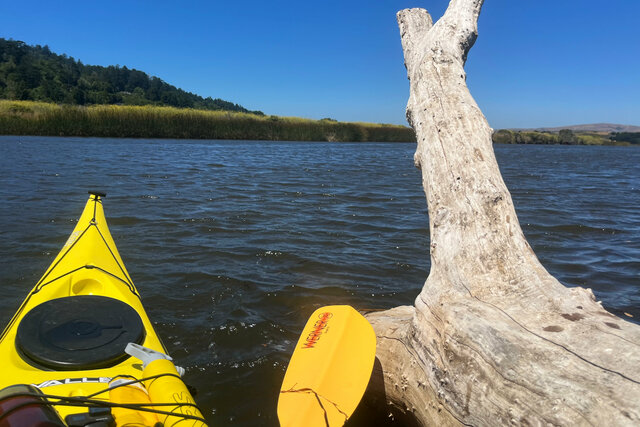 Kayak in Lagunitas Creek