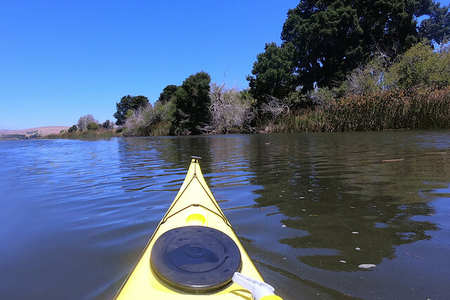 Kayak on Lagunitas Creek