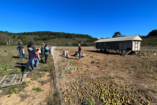 Farm tour visits the chickens