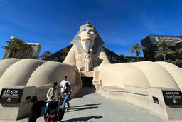 Sphinx in front of the Luxor