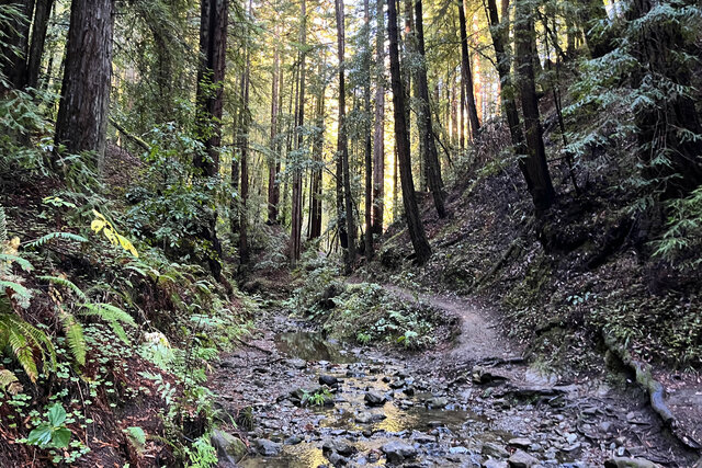 Bridge Creek Trail crosses Bridge Creek