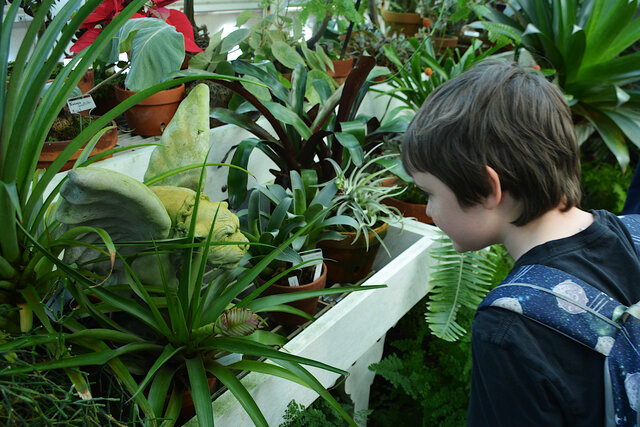 Julian looks at a dog gargoyle