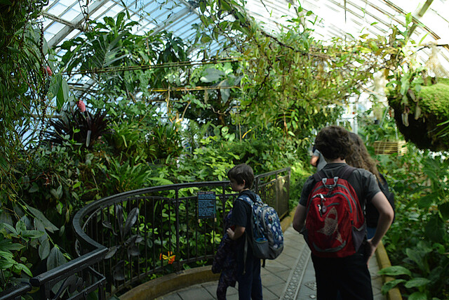 Julian and Calvin in the Conservatory of Flowers