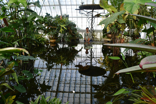 Pond inside the Conservatory of Flowers