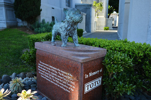 In Memory of Toto