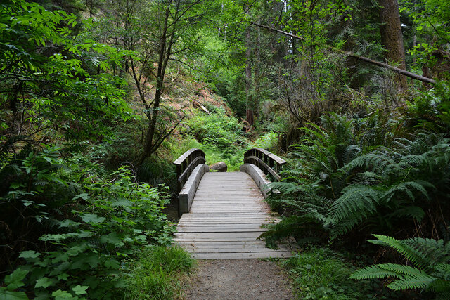 Foot bridge over the Little River