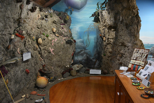 Ocean scene in Van Damme State Park visitor's center