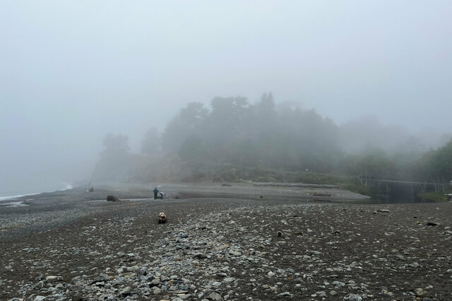 Fog shrouding Van Damme State Beach