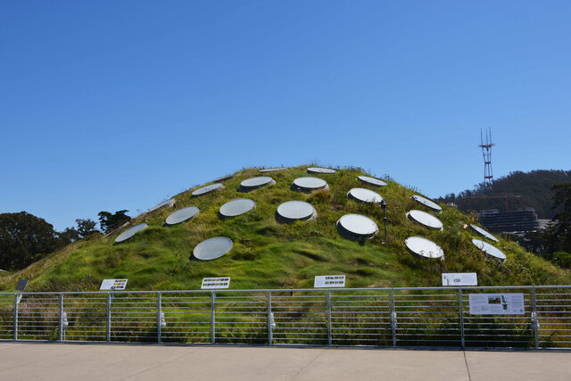 Domed living roof of the Cal Academy of Sciences