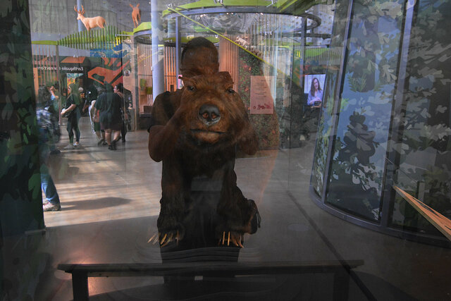 Jaeger photographs Monarch