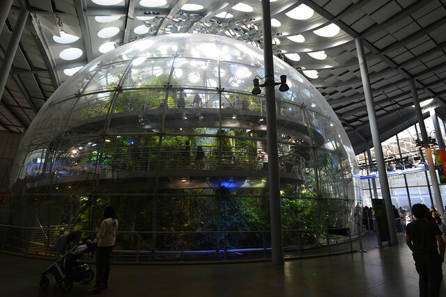Rainforest dome at the Cal Academy