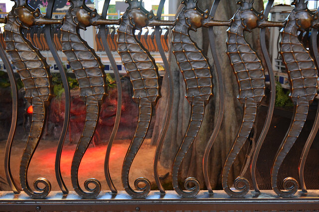 Seahorses on the railing at the Cal Academy aquarium