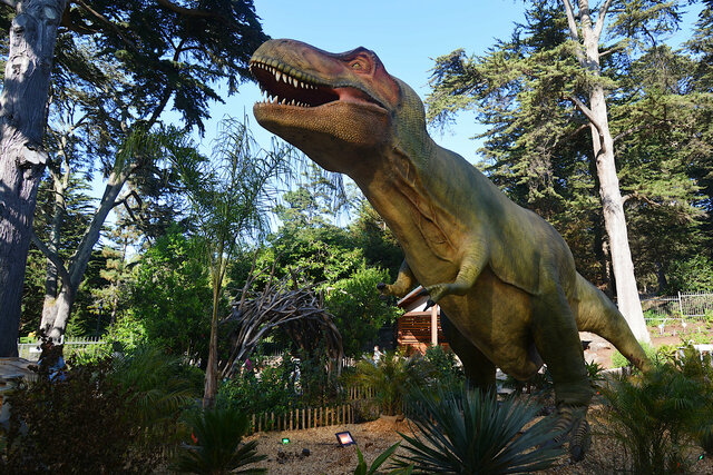 Annimatronic T-Rex at the Cal Academy