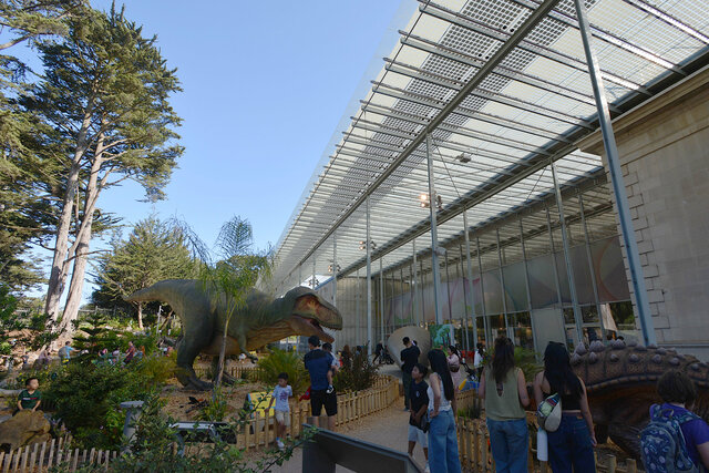 Dino Days at the California Academy of Sciences
