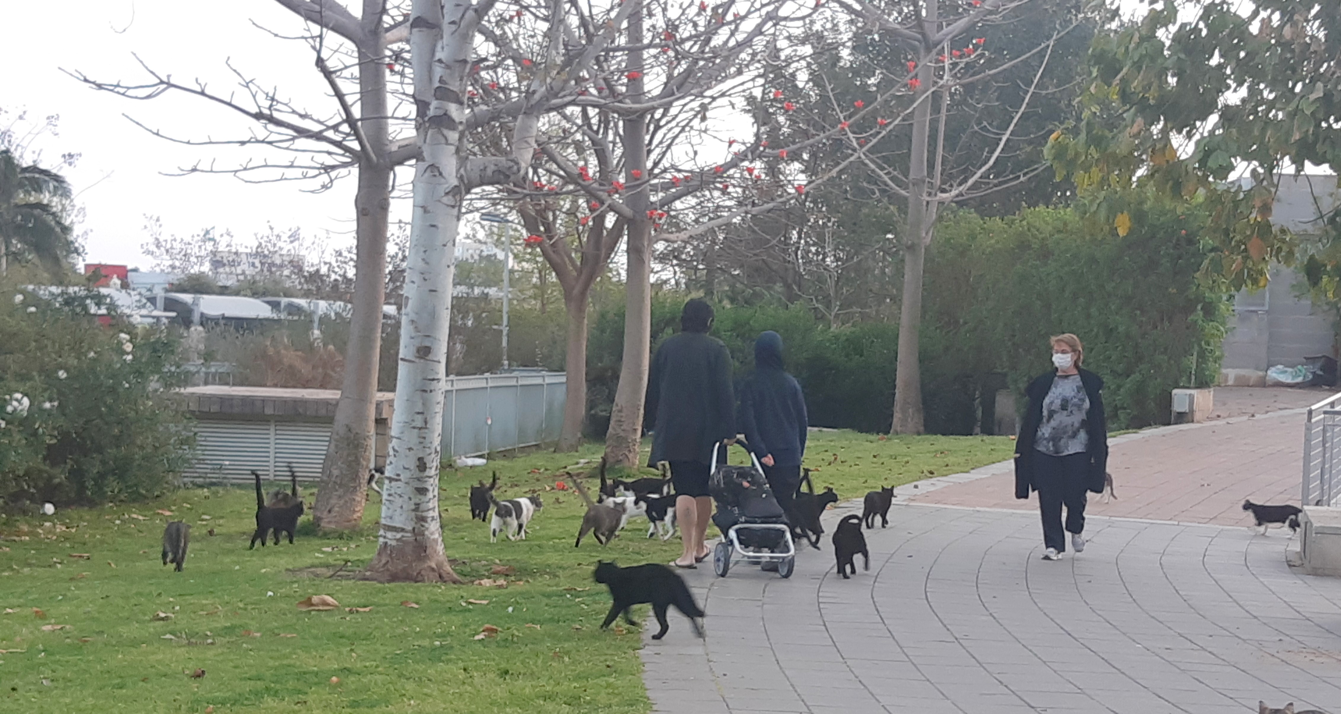 ימי הקורונה בגבעתיים ורמת-גן דרך העדשה של איציק רובין || תערוכת צלומים