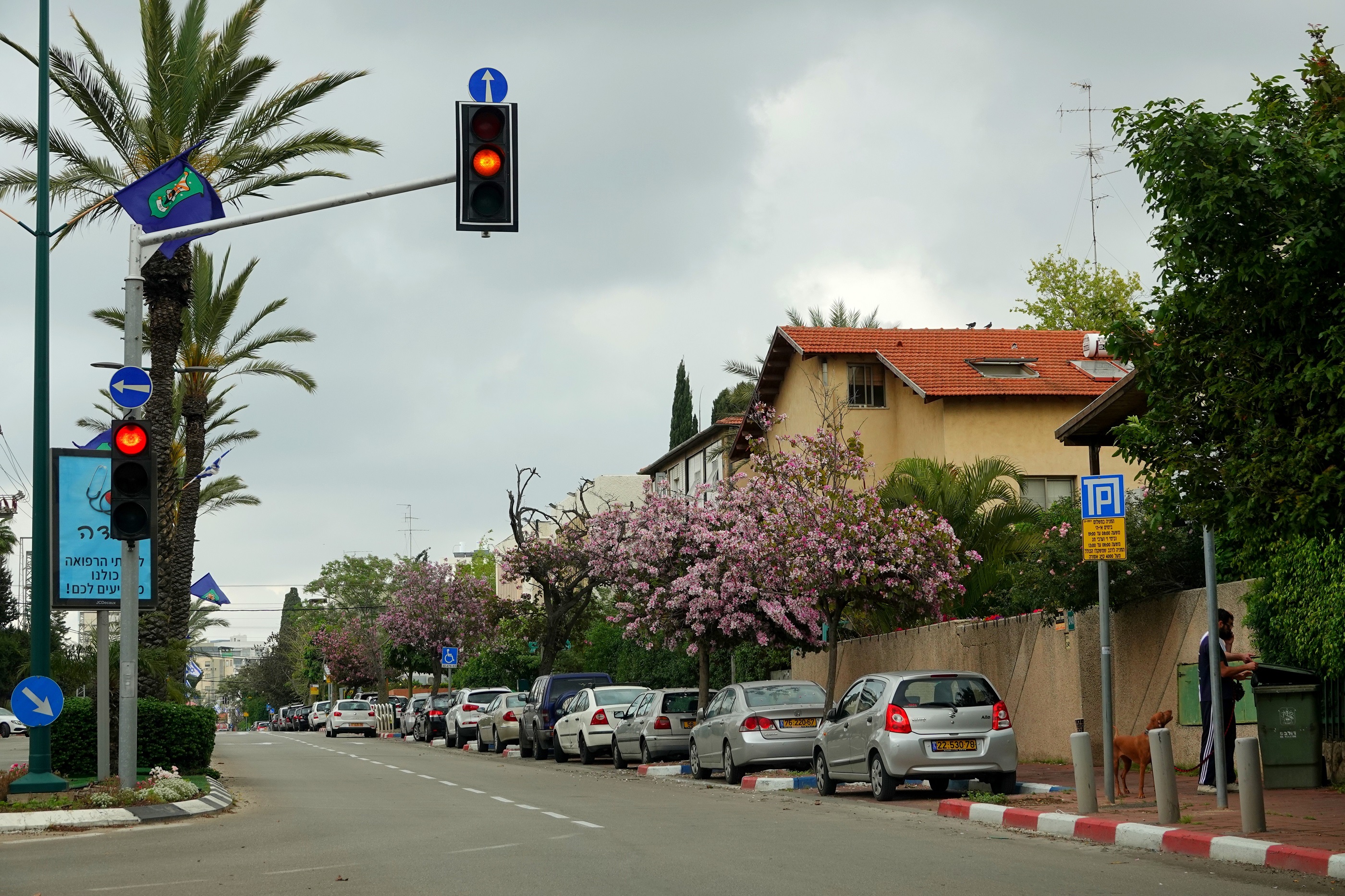 ימי הקורונה בגבעתיים ורמת-גן דרך העדשה של איציק רובין || תערוכת צלומים