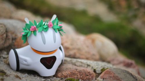 Podróż po Polsce z robotem Photon