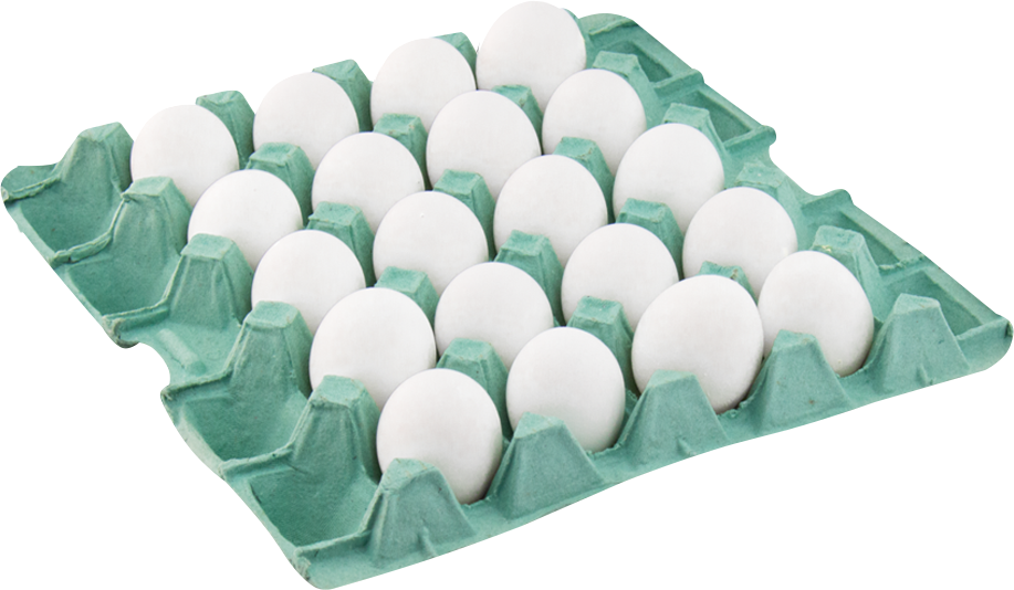 Ovos Josidith Pvc Grande Branco 20x1