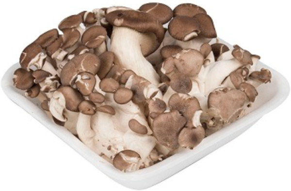 Cogumelo Shitake 200g