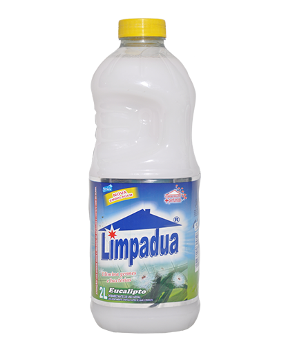 Pinho Gel Limpeza Pesada 500ml – Limpádua