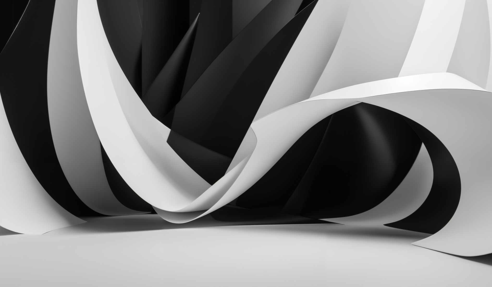 The image showcases a monochromatic, abstract design. It predominantly features black and white colors. The shapes are curvilinear and flowing, resembling ribbons or waves. The design appears to be three-dimensional, with overlapping and intertwining elements, creating a dynamic and visually captivating composition.