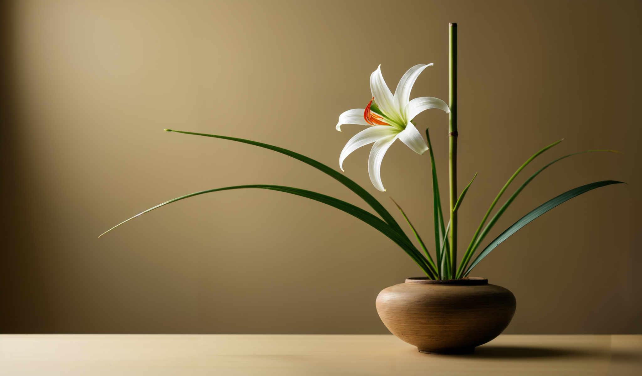 A single white lily flower with a red center is the main focus of this image. It is placed in a wooden vase that has a small handle on the side. The vase is filled with green leaves that are arranged in a curved manner adding a sense of movement to the composition. The background is a solid beige color providing a neutral backdrop that allows the vibrant colors of the flower and leaves to stand out. The overall image gives a sense that it could be a still life painting or a carefully arranged floral display.