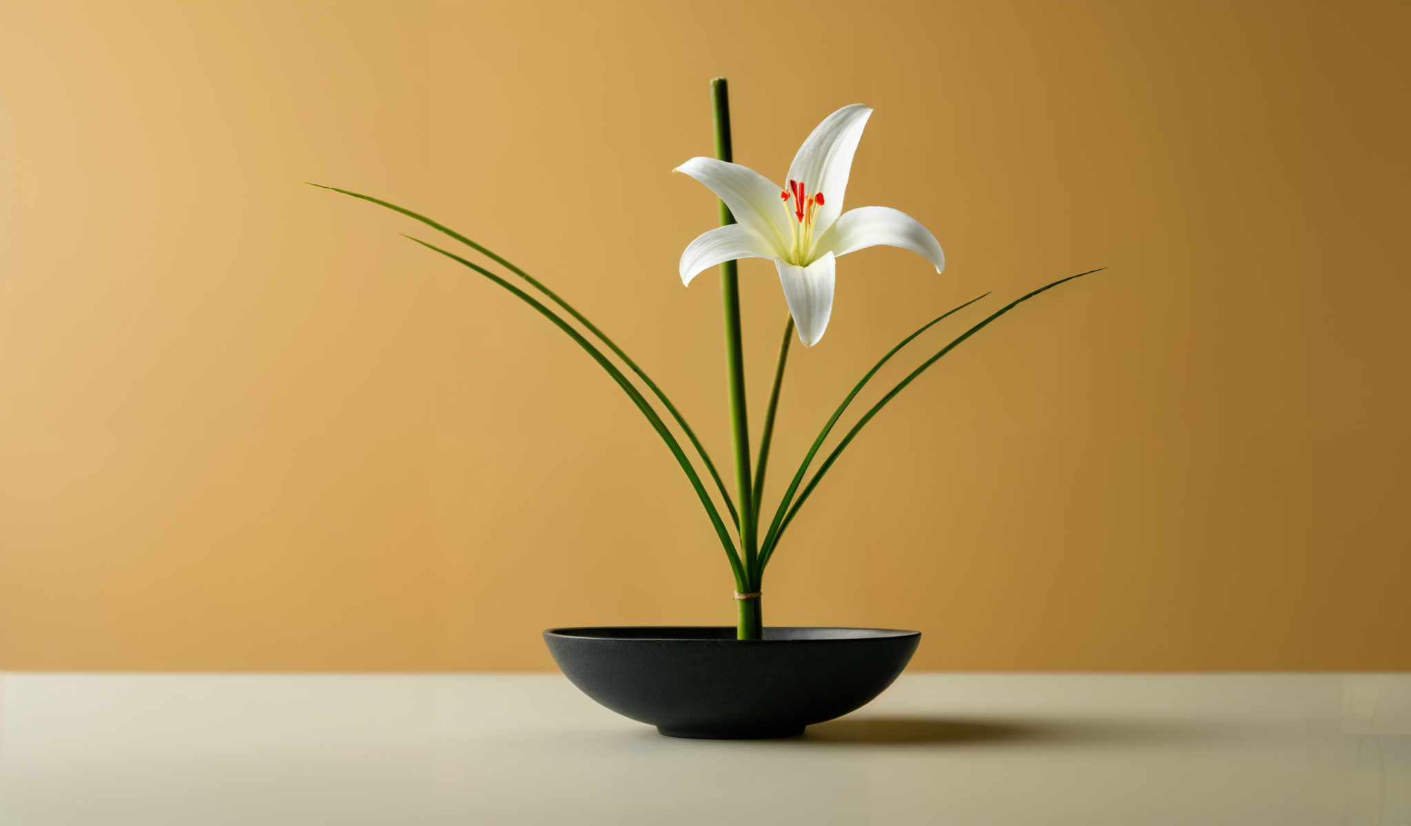 A white lily flower with red stamens in a black vase with green stems.