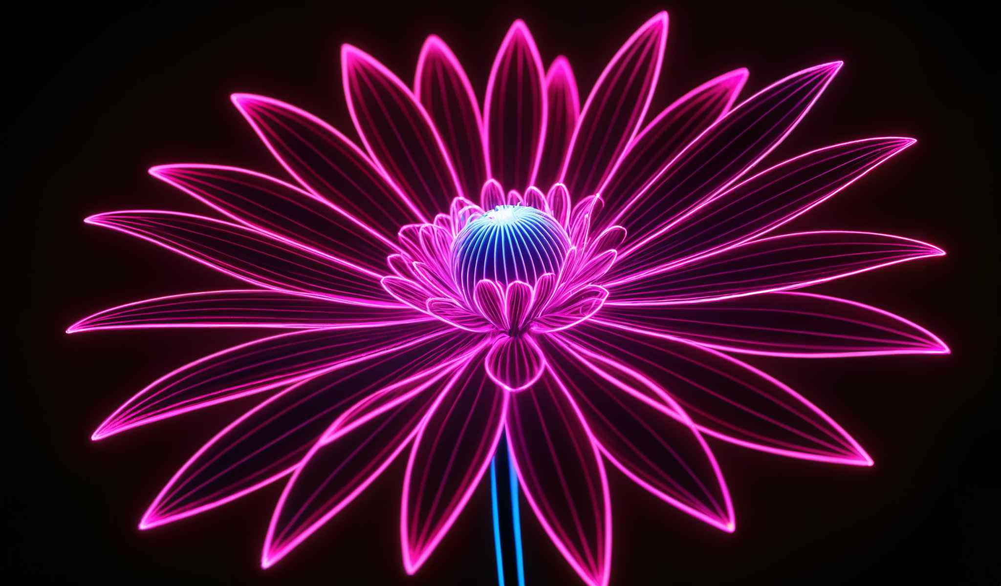 A digital image of a flower with pink and blue lights.