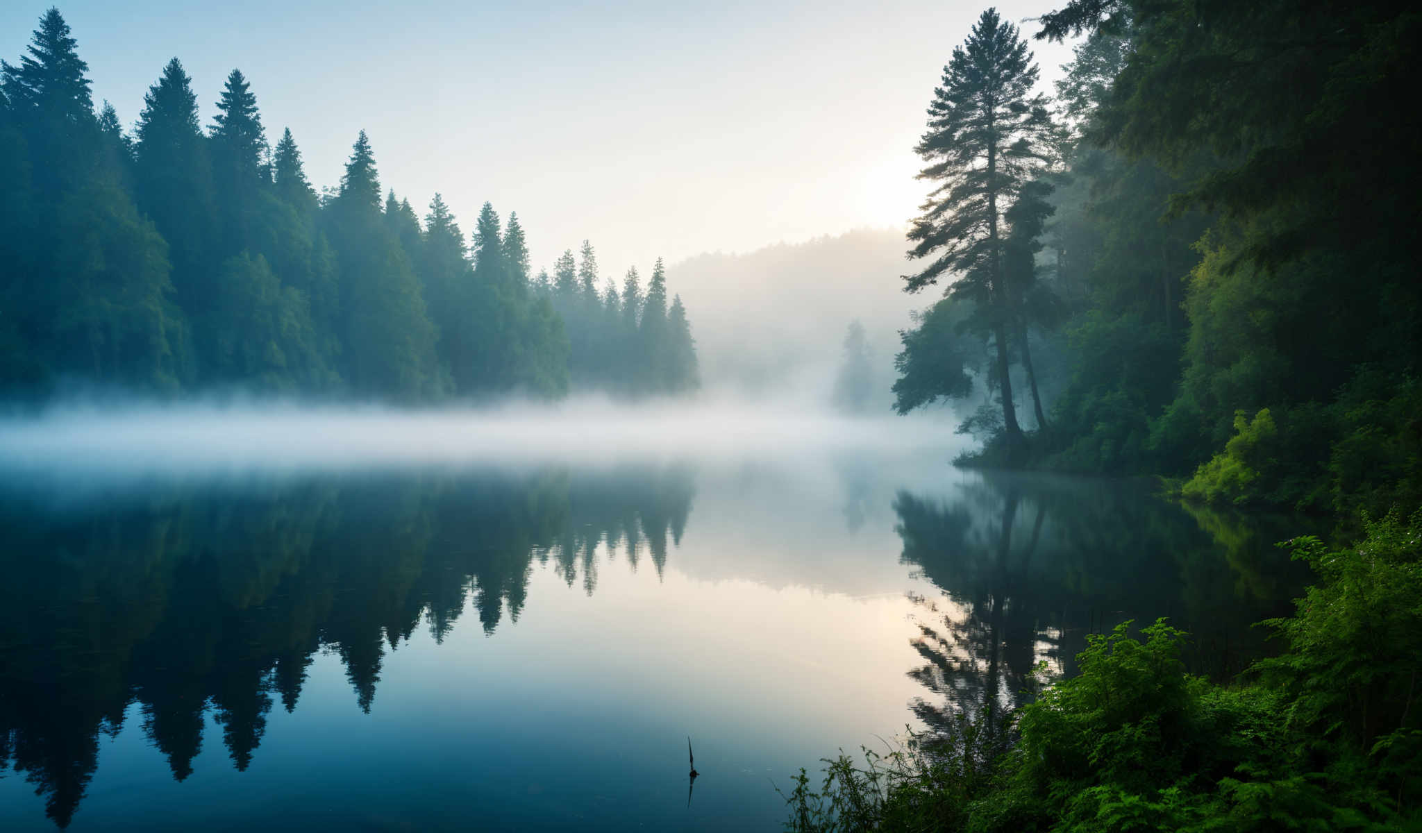 A serene scene of a lake surrounded by trees. The lake is calm and still with a misty fog floating on the surface. The trees tall and green are reflected in the water creating a beautiful mirror image. In the foreground there is a small bird standing on the shore adding a touch of life to the tranquil setting. The colors in the image are predominantly blue and green. The blue of the lake contrasts with the green of the trees creating an aesthetically pleasing palette. The image captures the beauty of nature in its purest form.