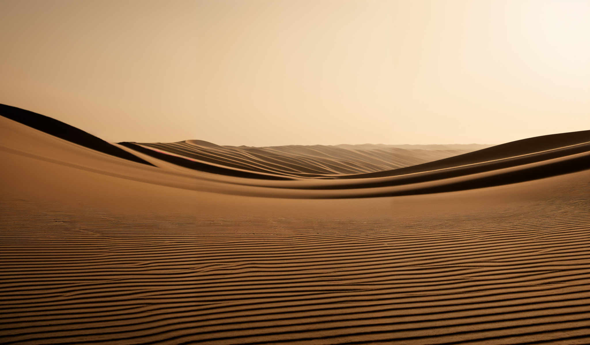 The image showcases a vast expanse of sand dunes with a warm, golden hue. The dunes have smooth curves and ridges, creating a sense of flow and movement. The sky above is clear with a soft gradient of colors, transitioning from a light beige at the horizon to a deeper shade at the top. The sun's rays cast long shadows on the dunes, emphasizing their undulating shapes.