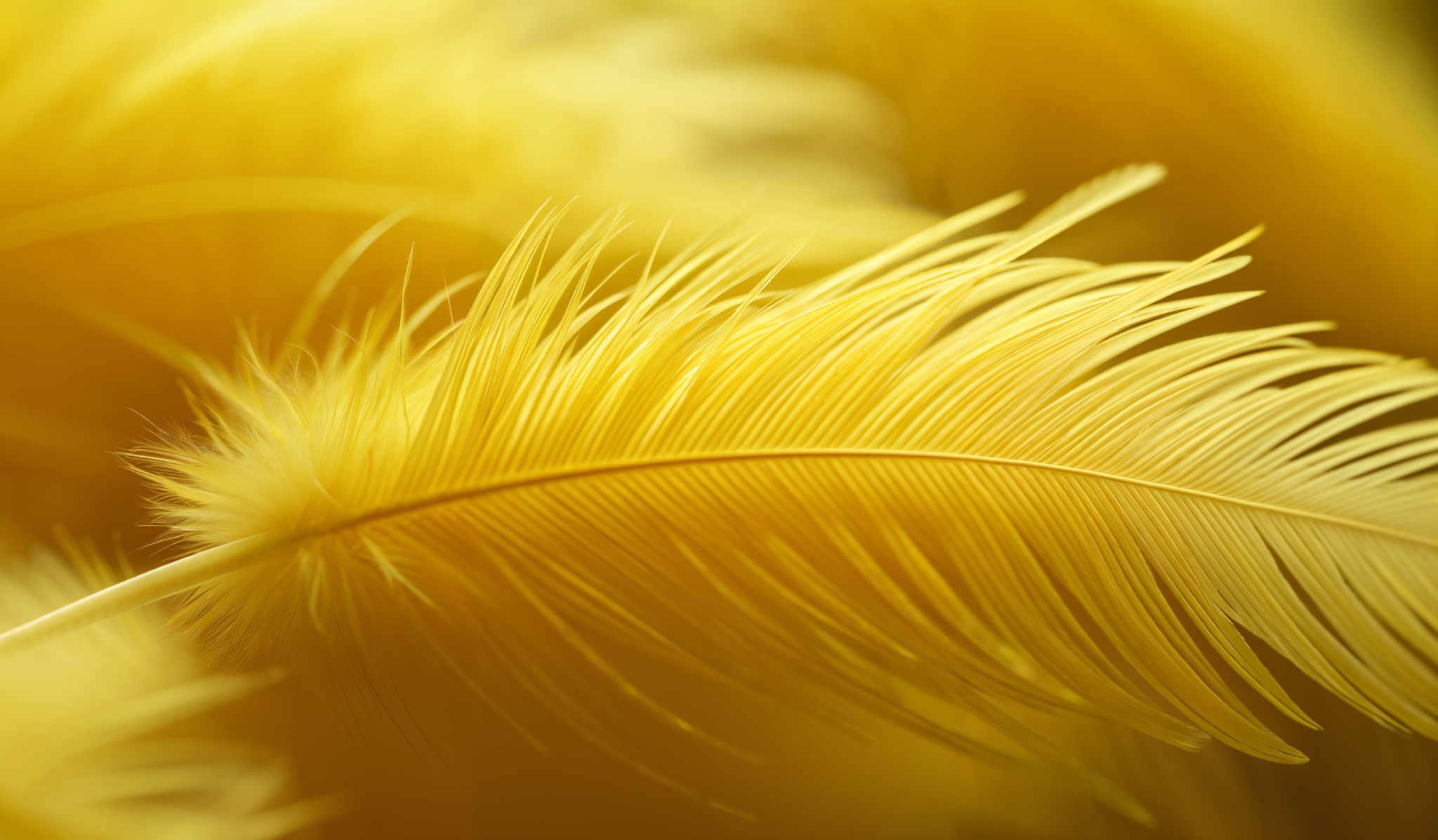 The image showcases a close-up of delicate feathers. The predominant color is a soft, golden-yellow. The feathers are intricately detailed, with fine, sharp edges and a gradient of lighter to darker shades, giving them a three-dimensional appearance. The central feather is prominently displayed, with its fine strands and delicate structure clearly visible. The background is blurred, emphasizing the feather and creating a bokeh effect.