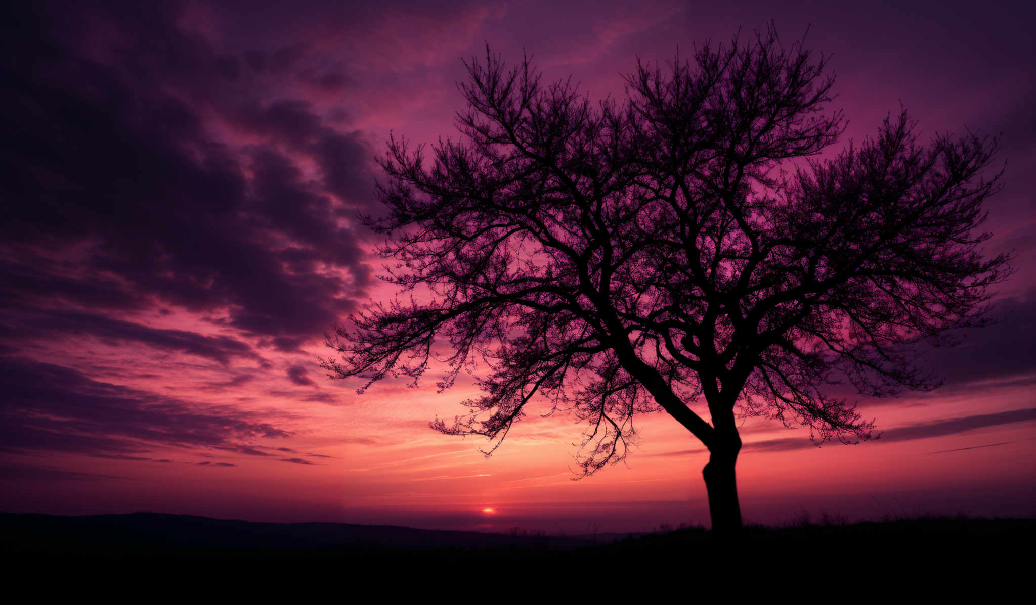 The image showcases a vibrant sunset with hues of purple, pink, and orange. The sky is filled with scattered clouds, some of which are tinged with the sunset's colors. Dominating the foreground is a solitary tree with bare branches, silhouetted against the fiery backdrop. The tree's intricate branching pattern is clearly visible, and its form stands in stark contrast to the soft, blending colors of the sky.