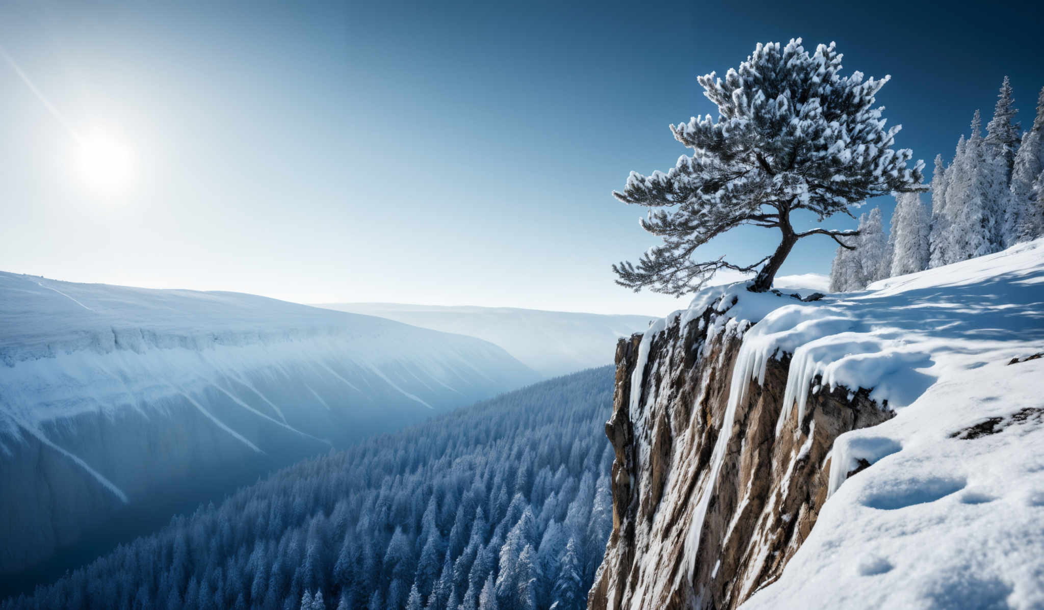 The image showcases a breathtaking winter landscape. The dominant colors are shades of blue, white, and brown. The sky is a clear blue with the sun shining brightly, casting a warm glow. The landscape is covered in snow, with dense forests in the background. A prominent feature is a solitary tree on the right, covered in a thick layer of snow, standing on the edge of a steep cliff. The cliff itself is rugged and has icicles hanging from its side. The valley below is filled with more snow-covered forests, and the distant view reveals more mountain ranges.