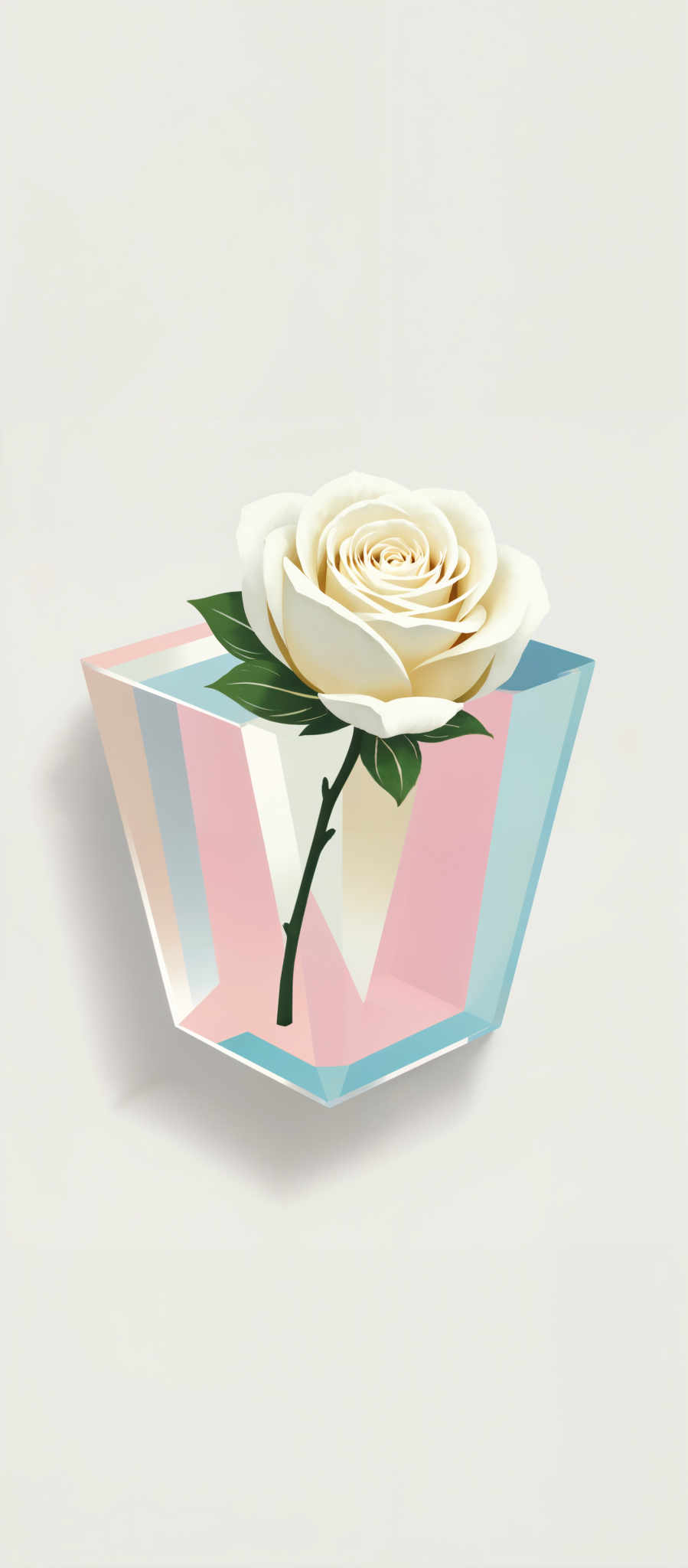 A white rose in a pink and blue glass vase. The rose is in full bloom with its petals unfurled and its stem visible. The vase is square-shaped and has a blue base and pink sides. The background is a light gray color. The image is a still life with no movement or action taking place. The art style is realistic with a focus on the details of the rose and the vase.