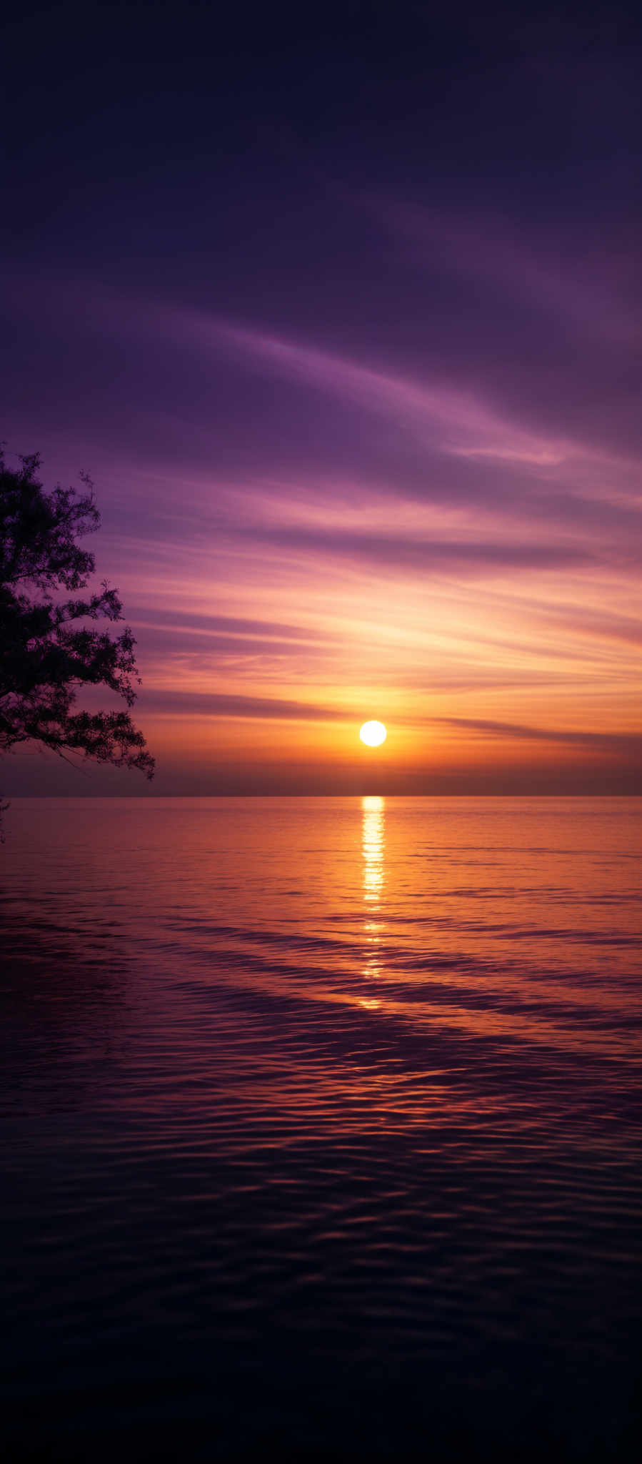 The image showcases a breathtaking sunset over a calm body of water. The sky is painted with hues of purple, pink, and orange, with streaks of clouds reflecting the colors. The sun is positioned near the horizon, casting a golden glow over the water. On the left side, there's a silhouette of a tree, its branches extending outwards, adding depth and contrast to the scene. The water reflects the colors of the sky, creating a mirror-like effect with gentle ripples.