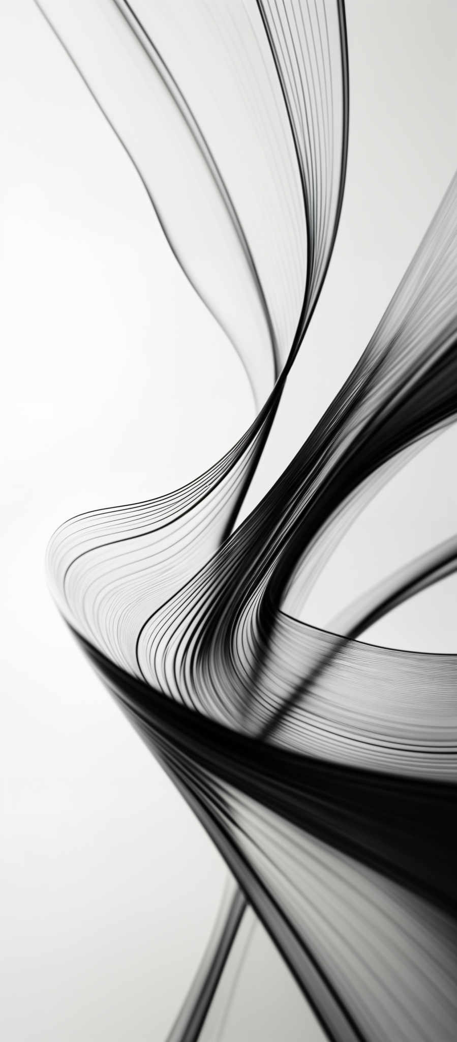 The image showcases a monochromatic, predominantly black and white composition. It features intricate, flowing lines and curves that resemble abstract representations of waves or ribbons. The lines are meticulously intertwined, creating a sense of movement and fluidity. The overall shape gives an impression of elegance and sophistication, with the interplay of light and shadow adding depth and dimension to the design.