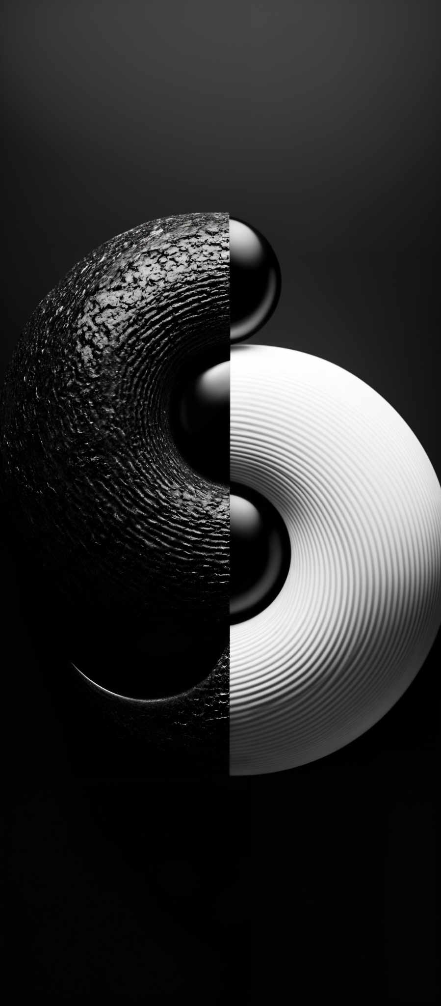 The image showcases a monochromatic theme, predominantly in shades of black and white. The primary shape is a curved, abstract form that resembles a combination of a crescent moon and a swirl. The left side of the shape has a textured, rough surface, reminiscent of a rock or coral, while the right side is smooth and glossy, giving it a polished appearance.