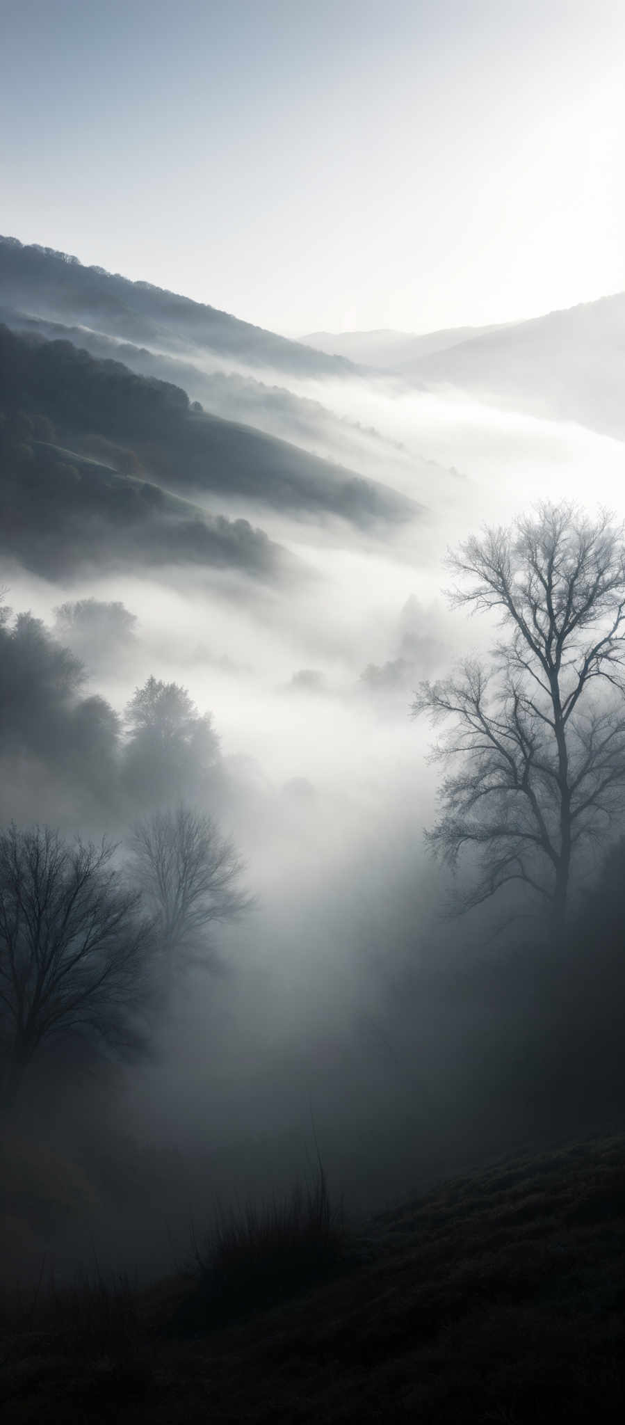 The image showcases a serene landscape dominated by cool tones. The sky is painted in shades of blue and white, with the latter possibly indicating the presence of clouds or mist. The rolling hills in the background are blanketed in a layer of mist, creating a dreamy and ethereal atmosphere. In the foreground, there are barren trees with intricate branches, standing tall against the mist. Their silhouettes are sharp, contrasting with the softness of the background. The terrain below the trees appears to be a mix of grassy patches and rocky outcrops.