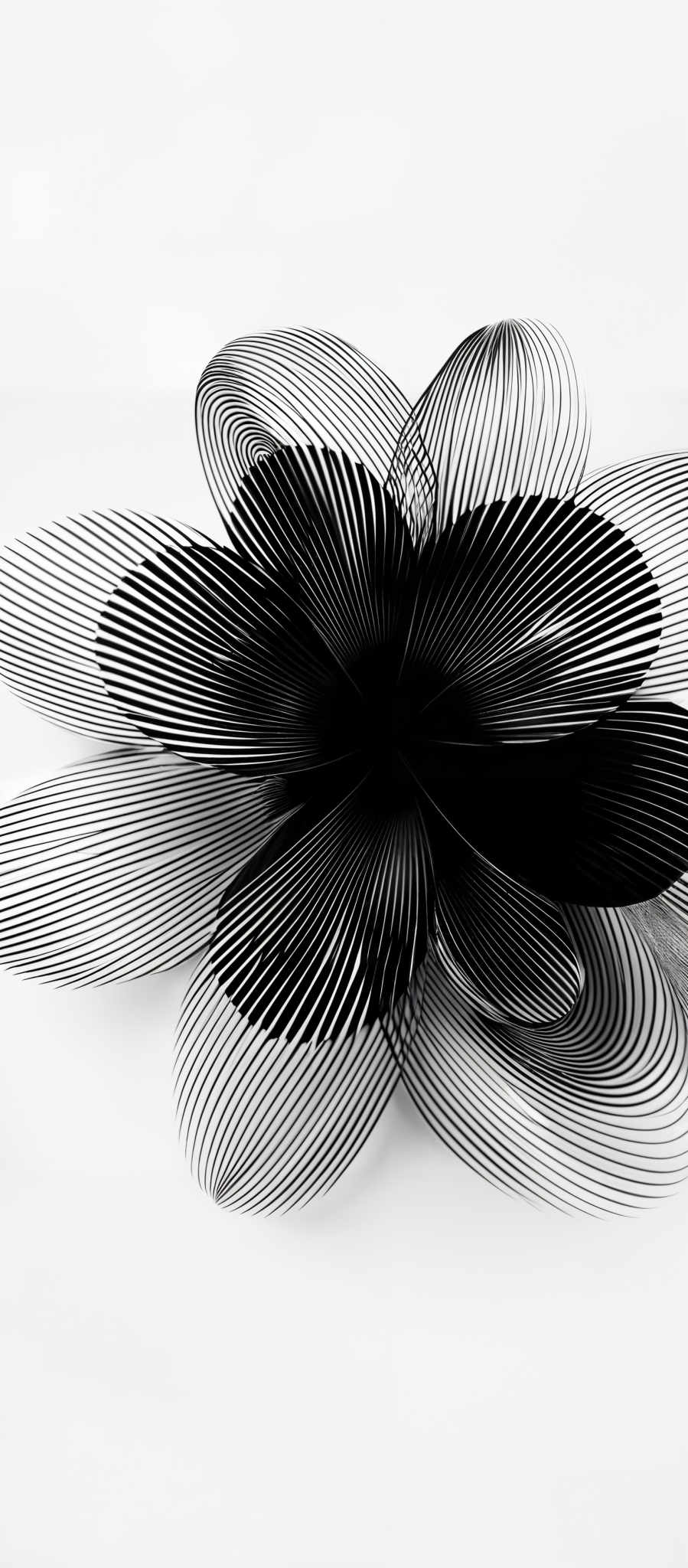 The image showcases a black and white abstract design. It features a symmetrical, flower-like shape made up of concentric, overlapping lines. The design is intricate, with the lines creating a sense of depth and dimension. The overall effect is reminiscent of a microscopic view of a flower petal or perhaps a stylized representation of a spider's web.