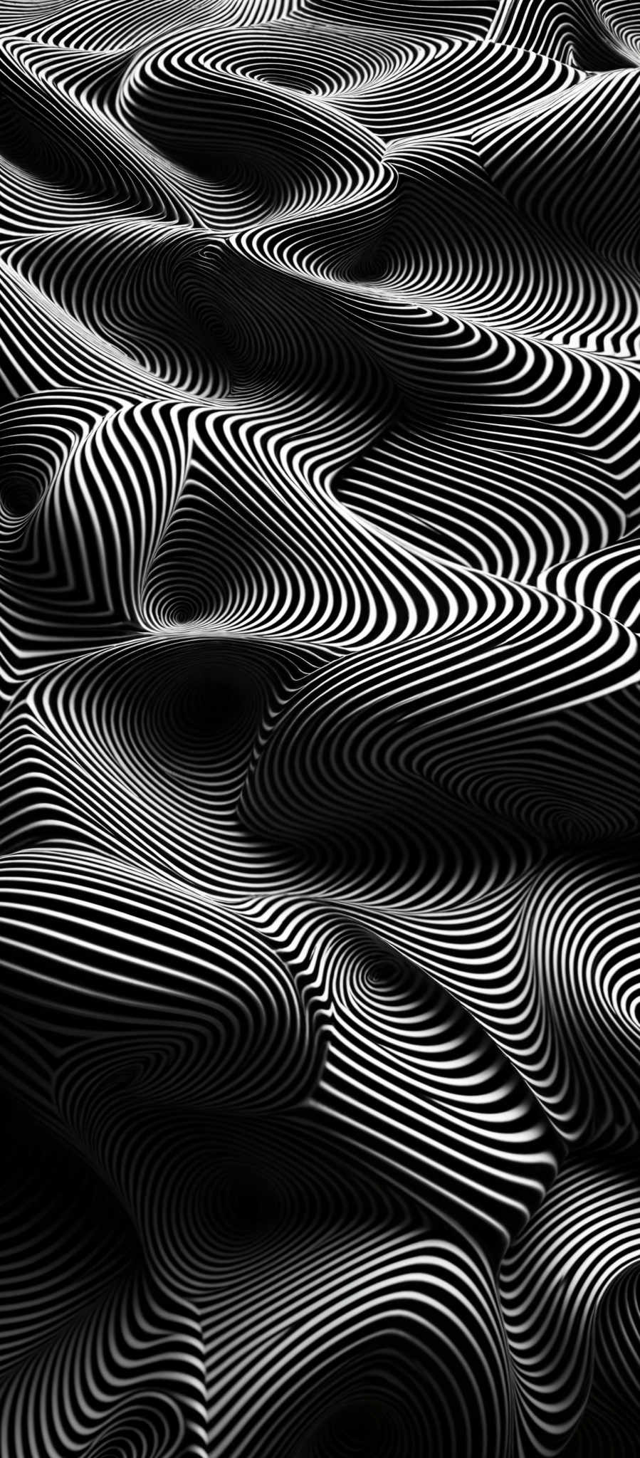 The image showcases a black and white abstract pattern. It features a series of intertwined, wavy lines that create a mesmerizing optical illusion. The lines vary in thickness and curvature, creating a 3D effect. The design is intricate, with the lines interlocking and overlapping in complex patterns, giving the impression of a fluid, undulating surface.