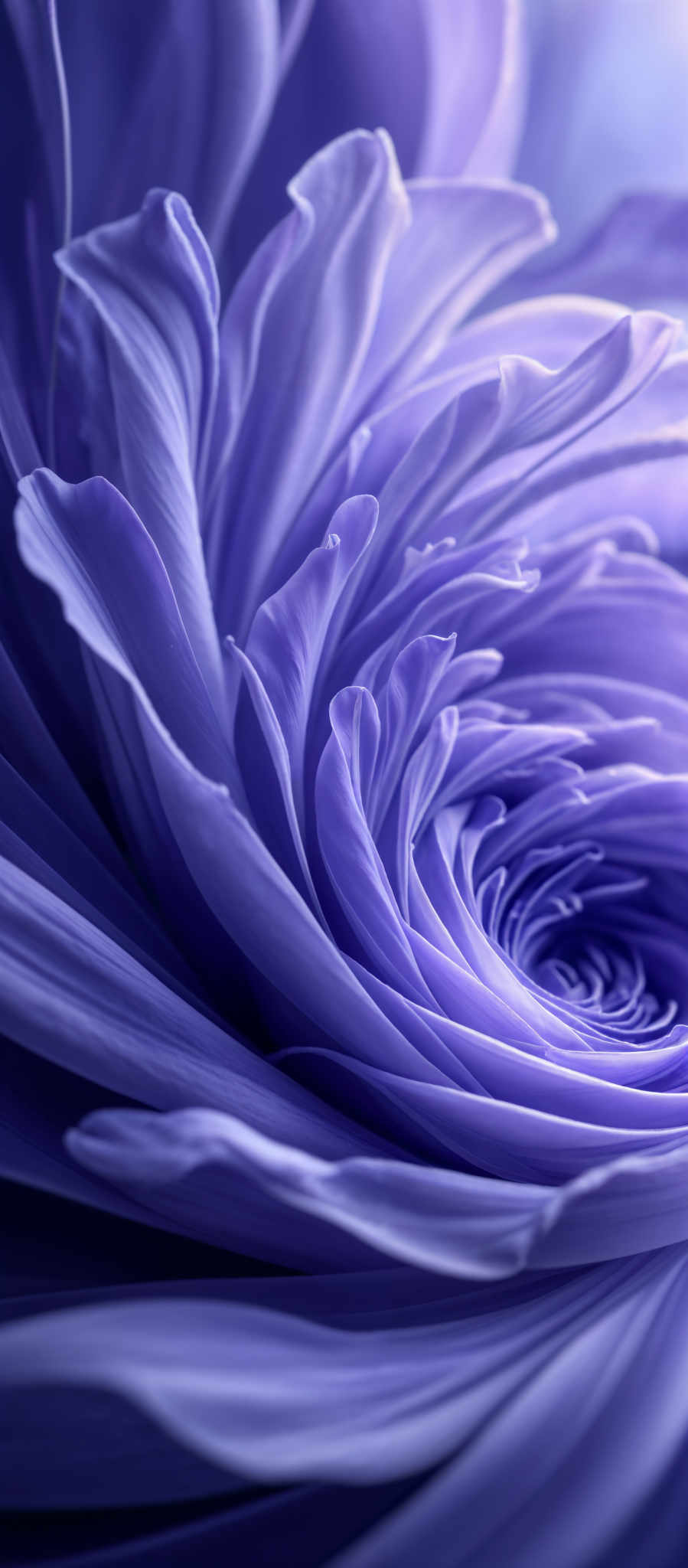 The image showcases a close-up of a flower, possibly a type of camelia or dahlia, with layers of petals that spiral inwards. The dominant color is a shade of purple, transitioning from a lighter hue at the edges to a deeper shade towards the center. The petals are soft, smooth, and have a wavy texture, with some overlapping others, creating a mesmerizing effect. The overall shape is circular, with the petals spiraling inwards towards a central point, giving an impression of depth and movement.