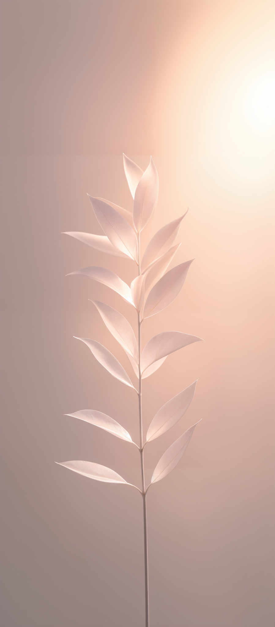 The image showcases a delicate plant with elongated leaves. The leaves are of a pale, almost translucent hue, with a lighter shade at the tips and a darker shade towards the base. The plant stands against a soft, gradient background that transitions from a light beige at the top to a deeper, muted brown at the bottom. The overall color palette is warm, evoking feelings of serenity and calmness.