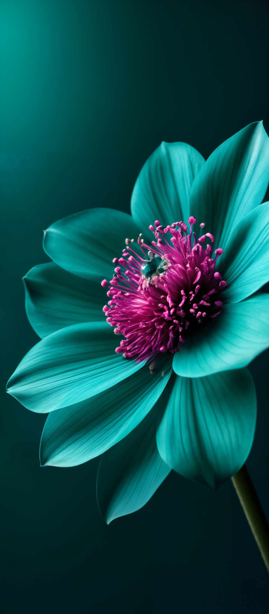 The image showcases a vibrant flower with a predominantly turquoise hue. The petals are smooth and have a lustrous sheen, exhibiting a gradient of turquise from light to dark. The center of the flower is a burst of pink with intricate details, resembling a cluster of tightly packed stamens and pistils. The background is a deep shade of turqoise, which accentuates the flower's colors and gives it a surreal, dreamy ambiance.