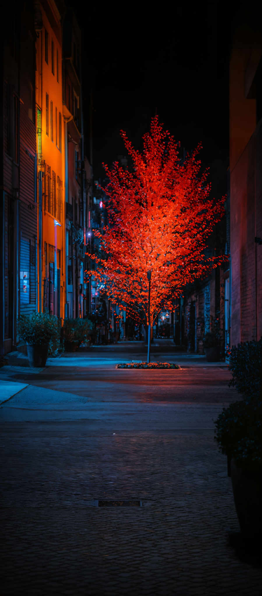 The image showcases a vibrant scene of a city alleyway during nighttime. The dominant color is a deep blue, which envelops the buildings on either side of the alley. A striking contrast is provided by a tree in the center, which is illuminated with a fiery red glow, almost as if it's on fire. The tree's leaves are a brilliant shade of red, and they appear to be scattered in all directions, giving the tree a somewhat chaotic appearance. The ground is made of brick, and there are a few potted plants placed along the side of a building. The overall ambiance of the image is mysterious and enchanting.