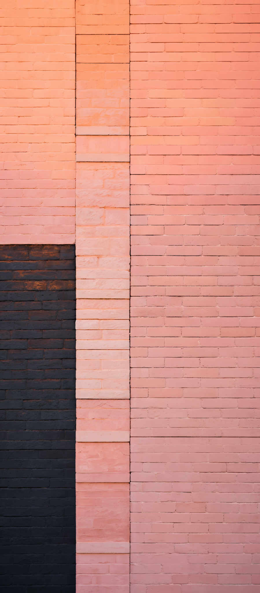 The image showcases a vertical brick wall with a gradient of colors. Starting from the left, the wall is painted in a deep blue shade. As we move right, the color transitions to a lighter shade of blue, then to a peach or light pink, and finally to a pale pink. The bricks are stacked in a regular pattern, and the gradient effect is achieved by the varying shades of paint applied to each brick.