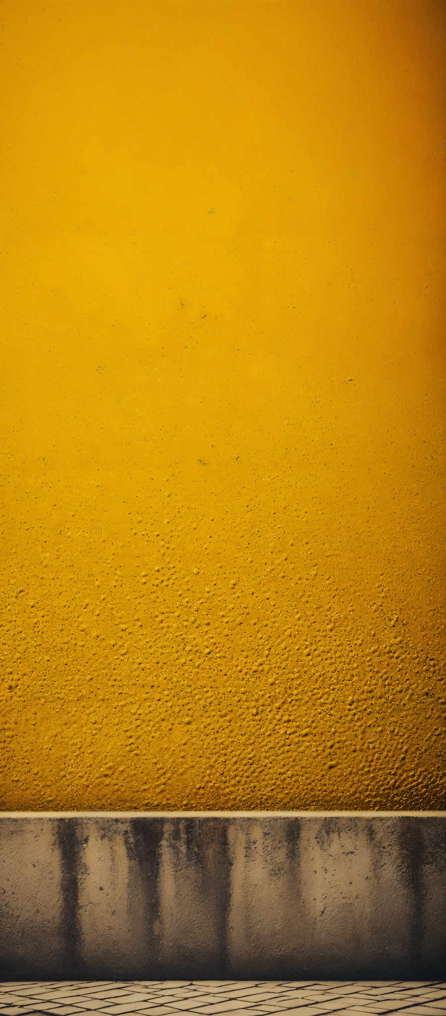 The image showcases a vibrant yellow wall with a textured surface. Below the wall, there's a concrete or stone ledge. The ledge has a patterned texture, resembling a series of rectangular blocks or tiles. The overall color palette is dominated by shades of yellow and gray.